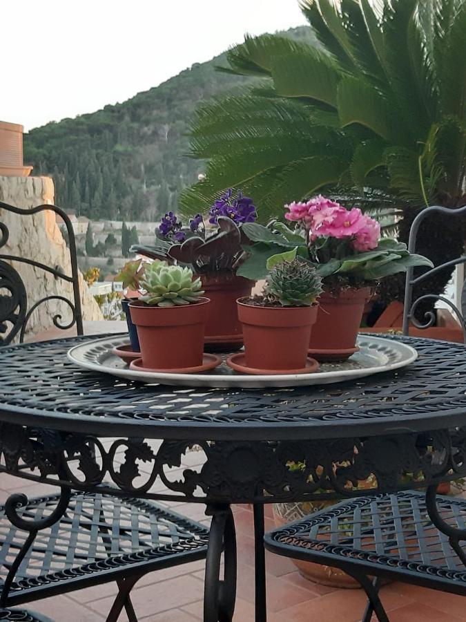 דוברובניק Luxury Sea View Apartments מראה חיצוני תמונה